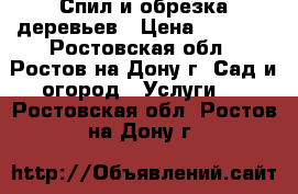 Спил и обрезка деревьев › Цена ­ 1 500 - Ростовская обл., Ростов-на-Дону г. Сад и огород » Услуги   . Ростовская обл.,Ростов-на-Дону г.